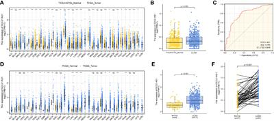 Upregulation of Long Non-Coding RNA GCC2-AS1 Facilitates Malignant Phenotypes and Correlated With Unfavorable Prognosis for Lung Adenocarcinoma